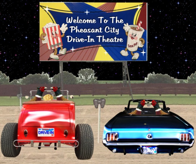 pheasant city drivein